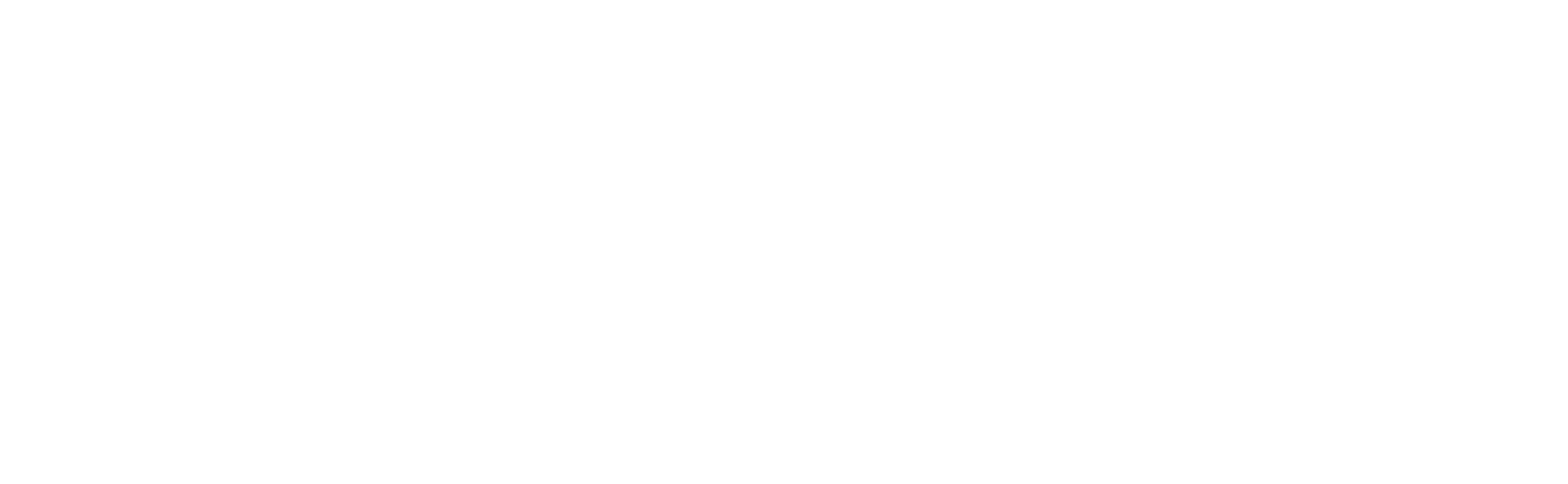 Pylon_data_blanco_noR (1)